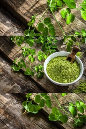 Moringa Powder, Chemical-Free Organic