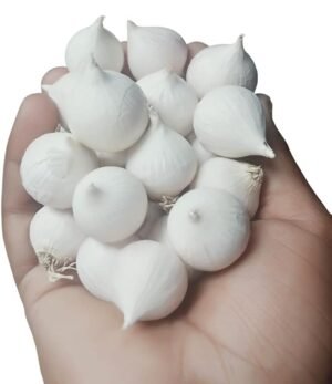 Dry Organic Single Clove Garlic Ek Pothi Lahsun Garlic 250 Gm Grade-A Qualilty